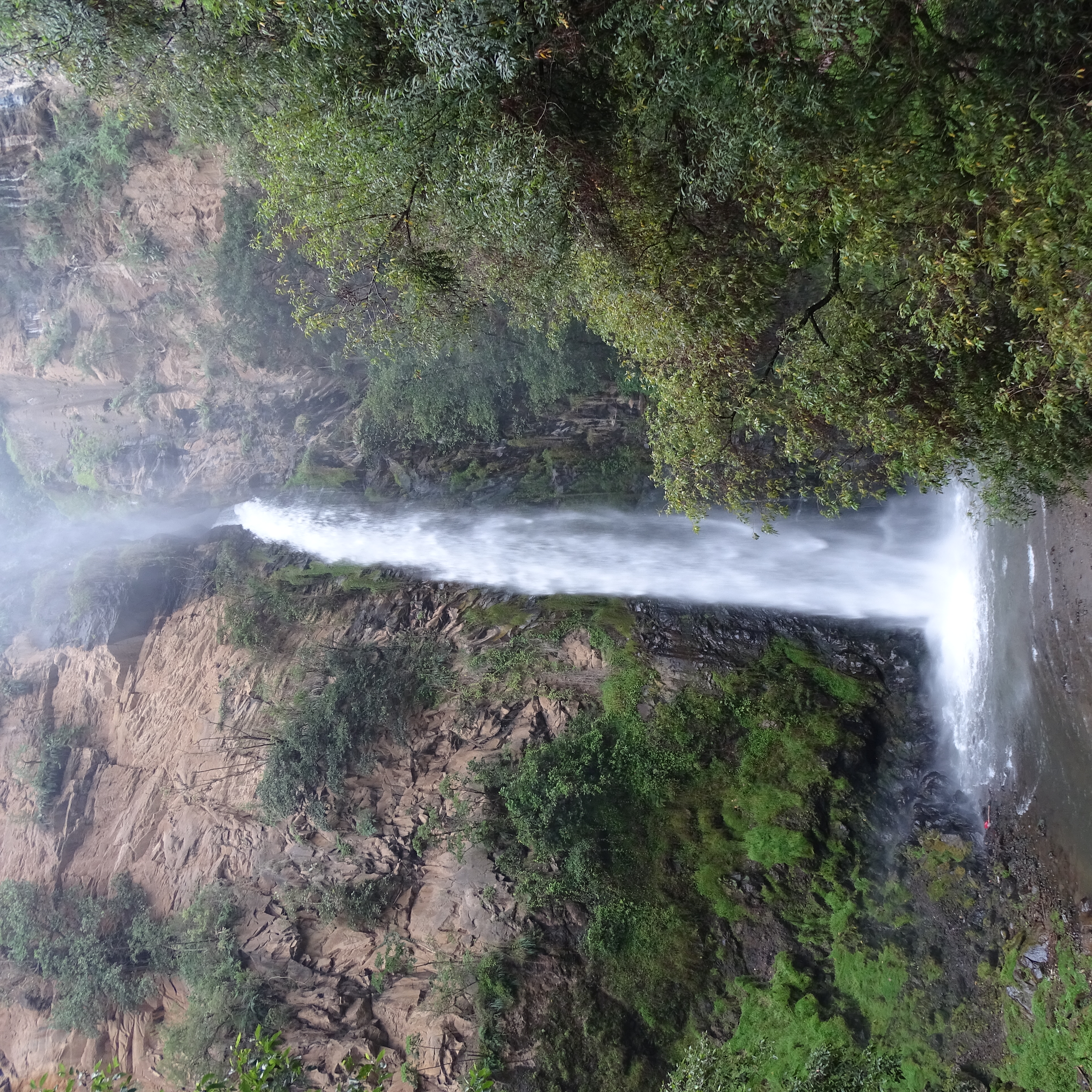 Zona Protectora Forestal los terrenos constitutivos de las cuencas de los ríos Valle de Bravo, Malacatepec, Tilostoc y Temascaltepec